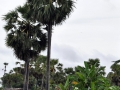 cambigia_thailandia2011_061-jpg