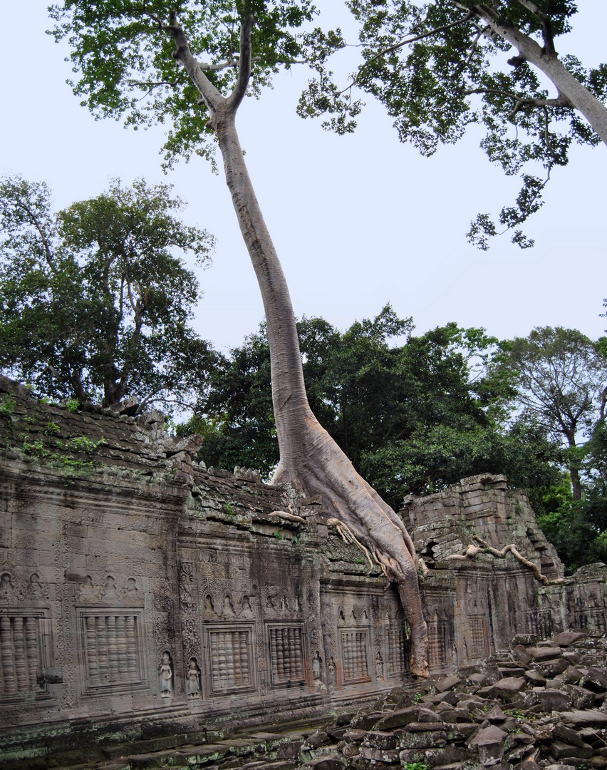 cambigia_thailandia2011_145-jpg