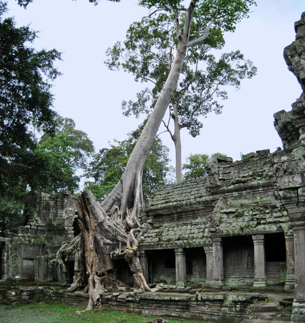 cambigia_thailandia2011_146-jpg