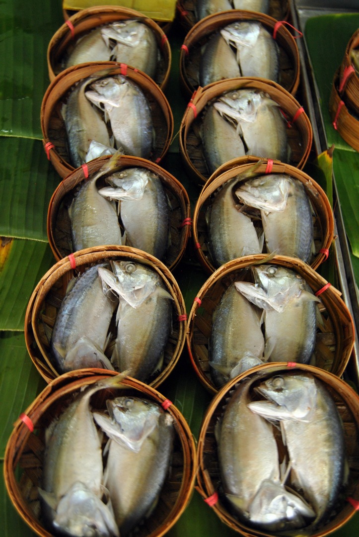 cambigia_thailandia2011_217-jpg