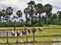 cambigia_thailandia2011_060-jpg