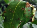 cambigia_thailandia2011_066-jpg