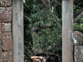 cambigia_thailandia2011_082-jpg
