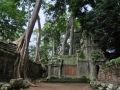 cambigia_thailandia2011_138-jpg